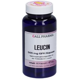 GALL PHARMA Leucine 500 mg