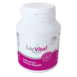 LacVital® Capsules de colostrum