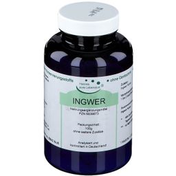 Hannes pure Lebenslust® INGWER