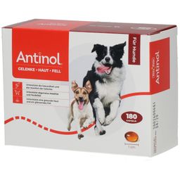 Antinol® Pour chiens