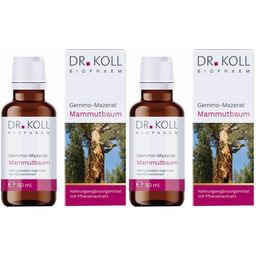 DR. KOLL Gemmo-macérat Séquoia