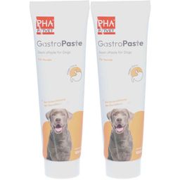 PetVet PHA GastroPaste für Hunde