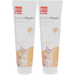 PetVet PHA GastroPaste für Katzen