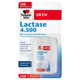 Doppelherz® aktiv Lactase 4.500