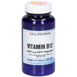 Hecht Vitamine B12 300 µg GPH