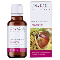 Dr KOLL Gemmo-Mazerat Kastanie
