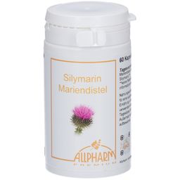 Allpharm Silymarin 80% Mariendistel Premium Kapseln