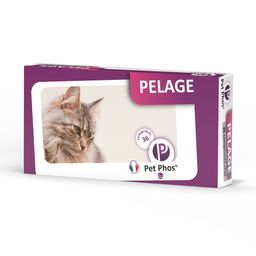 PET - phos pelage chat
