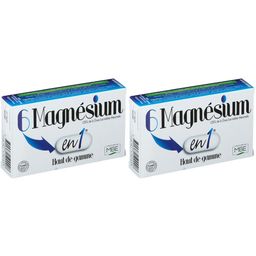 6 Magnésium en 1
