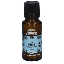 BIOFLORAL 24 Pine - Pin Sylvestre