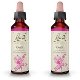 Original Bach®-Blüten Oak Nr. 22