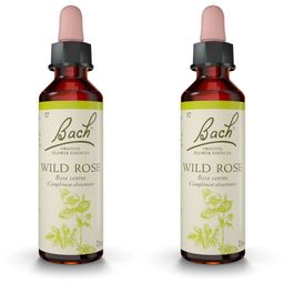 Original Bach®-Blüten Wild Rose Nr. 37