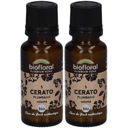 BIOFLORAL Cerato - Bleiwurz - Bio