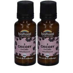BIOFLORAL 08 Chicorée - Zichorie