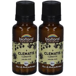 BIOFLORAL Clematis - Waldrebe - Bio