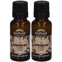 BIOFLORAL Hainbuche - Charme - Bio
