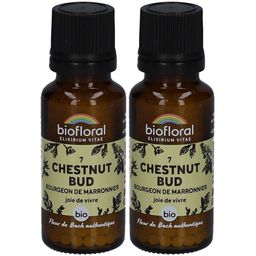 BIOFLORAL Kastanienknospe - Bourgeon de Marronnier - Bio