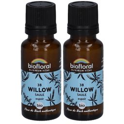 BIOFLORAL 38 Weide - Saule
