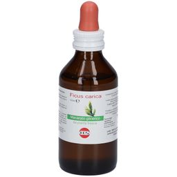 KOS Ficus Carica Macerato Glicerico Nahrungsergänzung