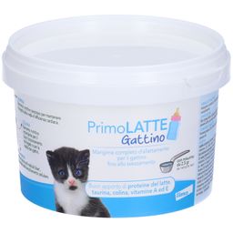 PrimoLATTE Kätzchen