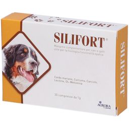 Silifort®
