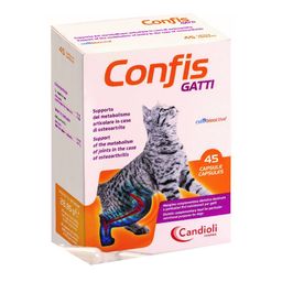 Konfis-Katzen 45Cps