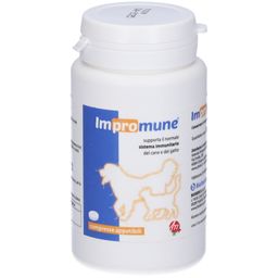Impromune comprimés