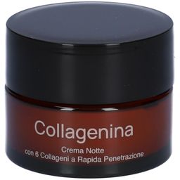 LABO Collagenine Nachtcreme mit 6 schnell einziehenden Collagenen - Grad 2
