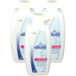 HUBNER Original Kieselgel + Biotin