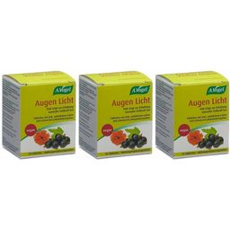 A.Vogel Vision Claire