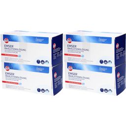 EMS EMSER® Solution pur Inhalation