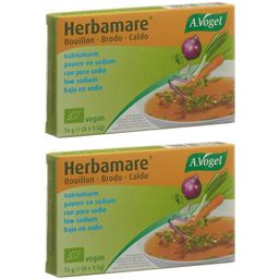 A. Vogel Herbamare Boullion salzarm