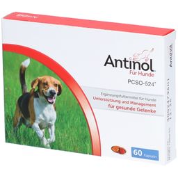 Antinol® Für Hunde