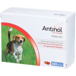 Antinol® Für Hunde