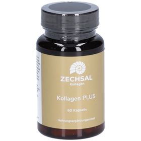 ZECHSAL Collagène PLUS Gélules