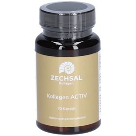 ZECHSAL Collagène actif