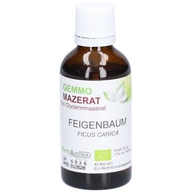 PhytoAustria Gemmo Mazerat Feigenbaum Bio Glycerinmazerat