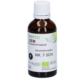 Gemmo Mazerat Riesen Mammutbaum – Gemmotherapie für Vitalität und Männergesundheit