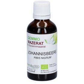 Gemmo Mazerat Schwarze Johannisbeere