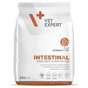 VETEXPERT Intestinal