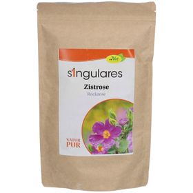 Singulares Zistrose