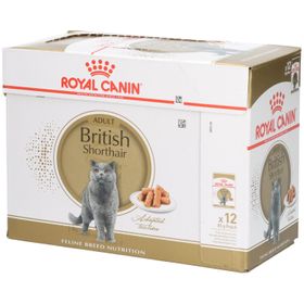 Royal Canin FBN BRITISH SHORTHAIR IN GRAVY 85g x 12
