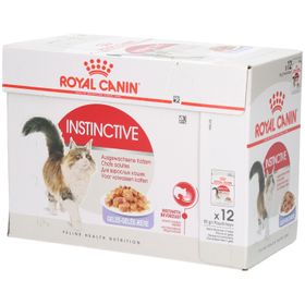 Royal Canin FHN INSTINCTIVE JELLY 12X85G