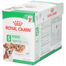 Royal Canin SHN MINI AGEING 85g x 12