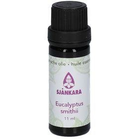 Sjankara Eucalyptus smithii Bio Huile Essentielle