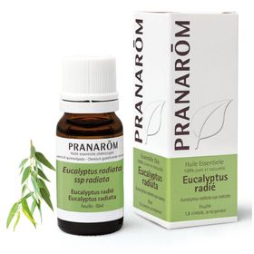 PRANARÔM - Eucalyptus Radié - Huile Essentielle Chémotypée - Voies Respiratoires & Immunité - 100 % Pure Et Naturelle - HECT - 10 ml