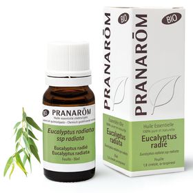 Pranarôm Eucalyptus Radié Huile Essentielle Bio