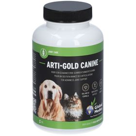 Arti-Gold-Canine