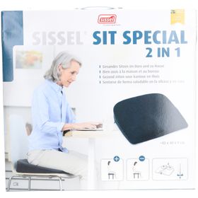 Sissel® Sit Special 2 in 1 grau