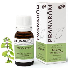 PRANARÔM - Menthe Des Champs Bio - Huile Essentielle Chémotypée - Digestion - Pure Et Naturelle - HECT - 10 ml